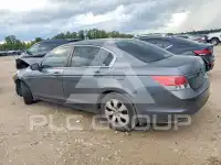 2008 Honda Accord photo