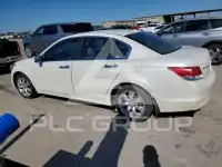 2008 Honda Accord photo
