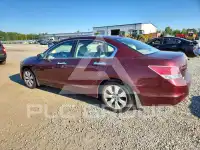 2008 Honda Accord photo