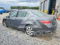 2008 Honda Accord фото