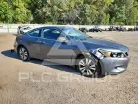 2008 Honda Accord photo