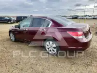 2008 Honda Accord photo