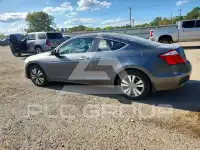 2008 Honda Accord photo