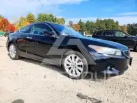 2008 Honda Accord photo