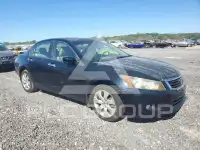 2008 Honda Accord фото