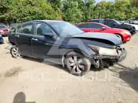 2008 Honda Accord фото