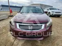 2008 Honda Accord photo