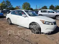 2008 Honda Accord photo