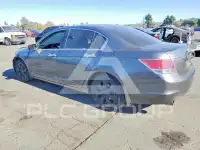 2008 Honda Accord photo