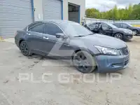 2008 Honda Accord photo