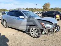 2008 Honda Accord photo