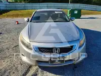 2008 Honda Accord фото