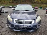 2008 Honda Accord фото