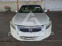 2008 Honda Accord photo