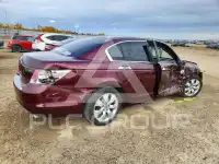 2008 Honda Accord photo