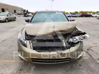 2008 Honda Accord фото