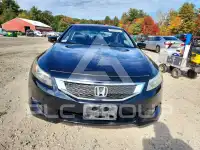 2008 Honda Accord photo