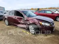 2008 Honda Accord photo