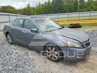 2008 Honda Accord фото