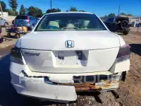 2008 Honda Accord photo