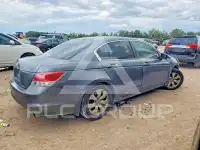 2008 Honda Accord photo