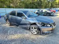 2008 Honda Accord photo