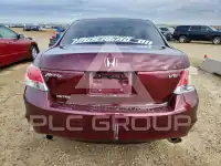 2008 Honda Accord photo