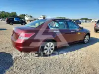 2008 Honda Accord photo