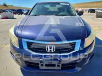 2008 Honda Accord фото