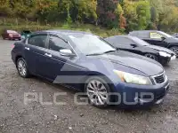 2008 Honda Accord фото