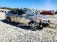 2008 Honda Accord фото