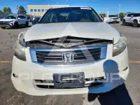 2008 Honda Accord фото