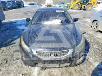2008 Honda Accord фото