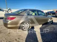 2008 Honda Accord фото