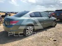 2008 Honda Accord фото