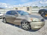 2008 Honda Accord photo