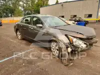 2008 Honda Accord photo