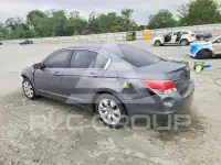 2008 Honda Accord фото