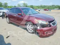 2008 Honda Accord фото