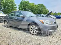 2008 Honda Accord фото