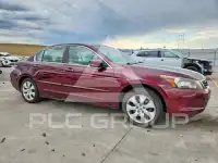 2008 Honda Accord photo