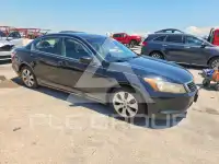 2008 Honda Accord фото