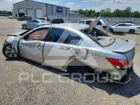 2008 Honda Accord photo