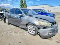 2008 Honda Accord фото