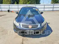 2008 Honda Accord фото