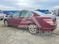 2008 Honda Accord photo
