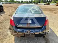 2008 Honda Accord фото