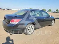 2008 Honda Accord фото