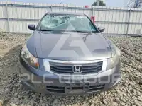 2008 Honda Accord photo