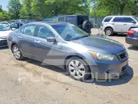 2008 Honda Accord фото